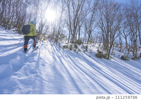 スノーシューで雪の中を歩く 大山鏡ヶ成 スノーシューで雪の中を歩く 大山鏡ヶ成 111259786
