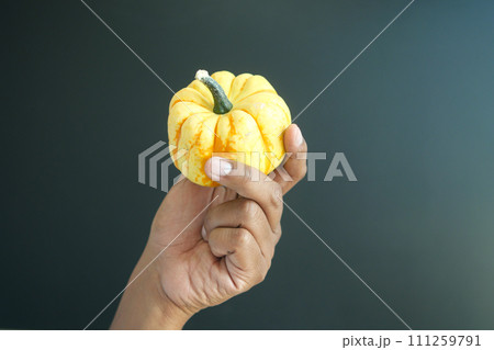 hand hold a small pumpkin against black background  111259791
