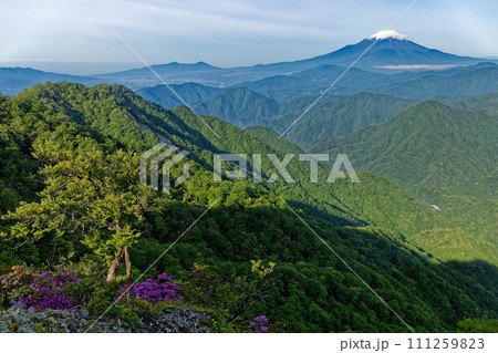 西丹沢・檜洞丸から見る新緑の山並みと残雪の富士山 111259823
