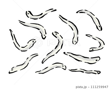 しらすの線画イラスト素材 バラバラの、個別、一匹づつ描いたイラスト しらすの線画イラスト素材 バラバラの、個別、一匹づつ描いたイラスト 111259947