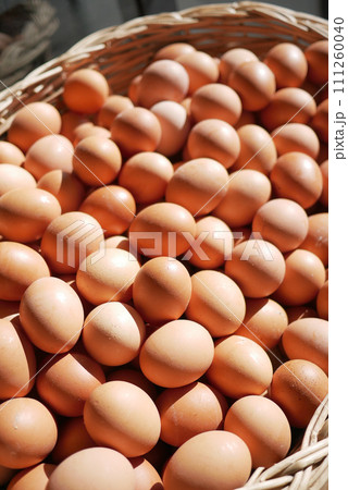 close up of eggs in a bowl. 111260040