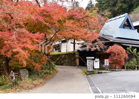 京都市 大原女の小径(寂光院参道)と紅葉と大原女石像 京都市 大原女の小径(寂光院参道)と紅葉と大原女石像 111260094