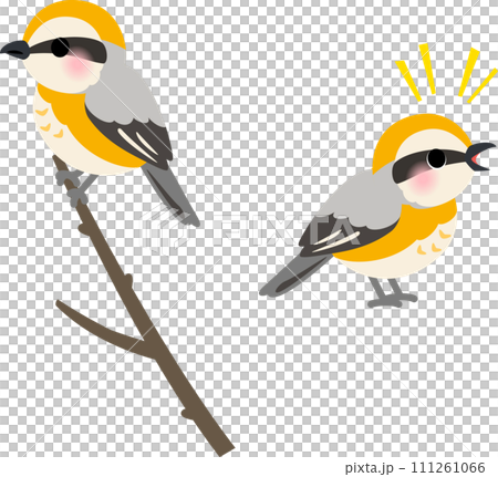 棲息在樹枝的Moz 111261066