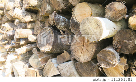薪　木材 111261383
