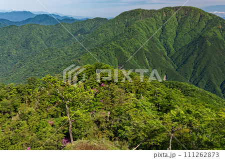 新緑の丹沢山地・檜洞丸稜線から見る大室山 111262873