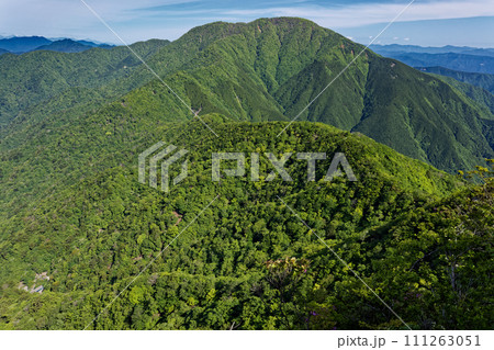 新緑の丹沢山地・檜洞丸稜線から見る大室山 新緑の丹沢山地・檜洞丸稜線から見る大室山 111263051