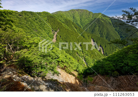 犬越路付近から見る新緑の丹沢・大室山 111263053