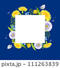 watercolour summer background with dandelion, butterfly, blowball, seed, hand drawn sketch, spase for text 111263839