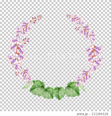 Paulownia flower frame watercolor illustration 111264128