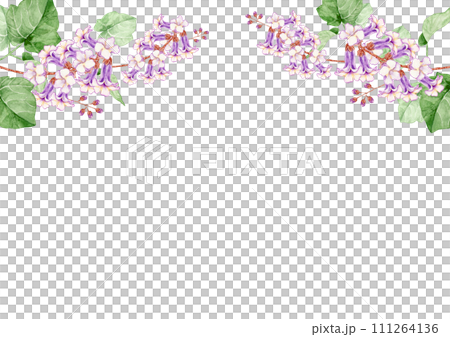 Paulownia flower background frame watercolor illustration Paulownia flower background frame watercolor illustration 111264136