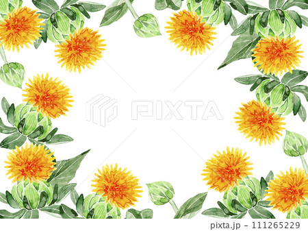 紅花 ベニバナ　背景 フレーム　水彩 イラスト 111265229