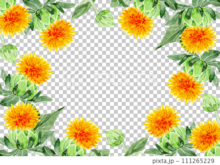 紅花 ベニバナ　背景 フレーム　水彩 イラスト 111265229