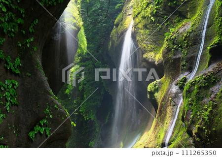 新緑の由布川渓谷（由布市・別府市） 111265350