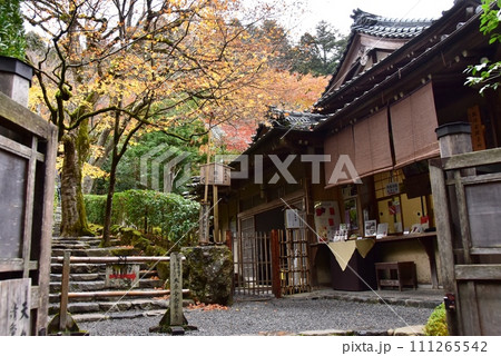 京都市 大原の寂光院拝観受付と参道の紅葉 京都市 大原の寂光院拝観受付と参道の紅葉 111265542