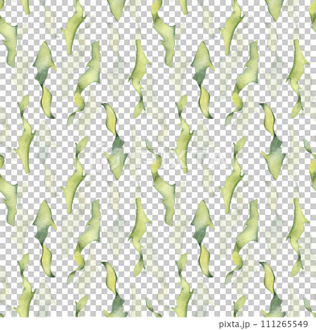 Watercolor seamless pattern of colorful laminaria illustration isolated on white. Kelp, seaweeds hand drawn. Painted algae. Design for background, textile, packaging, wrapping, marine collection 111265549