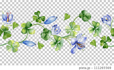 Seamless border with saffron and clover watercolor illustration isolated on white. Painted herbal plants and flowers. Hand drawn Irish symbol. Design element for St.Patricks day, Easter, package 111265569