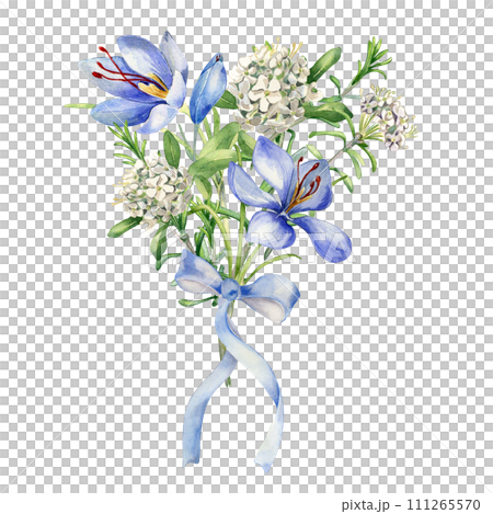 Watercolor illustration bunch of labrador tea flowers and crocus isolated on white background. Painted floral sprig with ribbon and meadow flower in gentle colors. Design for Easter card, mother day Watercolor illustration bunch of labrador tea flowers and crocus isolated on white background. Painted floral sprig with ribbon and meadow flower in gentle colors. Design for Easter card, mother day 111265570
