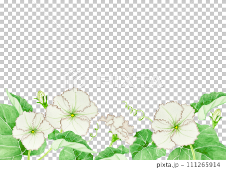 Yugao background frame watercolor illustration 111265914