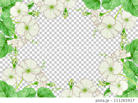 Yugao background frame watercolor illustration 111265917