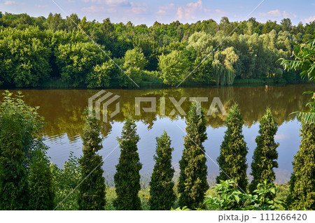 Calm summer river. The banks are overgrown with lush greenery and trees Calm summer river. The banks are overgrown with lush greenery and trees 111266420