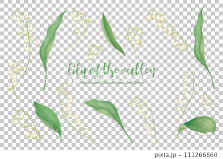 A hand-drawn illustration of a stylish bell orchid in gentle spring colors A hand-drawn illustration of a stylish bell orchid in gentle spring colors 111266860