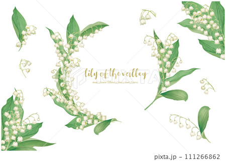水彩手描きの鈴蘭の花を装飾したフレーム素材 111266862