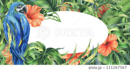 Tropical palm leaves, monstera and flowers of hibiscus, bright juicy with blue-yellow macaw parrot. Hand drawn watercolor botanical illustration. template, frame isolated from the background. Tropical palm leaves, monstera and flowers of hibiscus, bright juicy with blue-yellow macaw parrot. Hand drawn watercolor botanical illustration. template, frame isolated from the background. 111267567