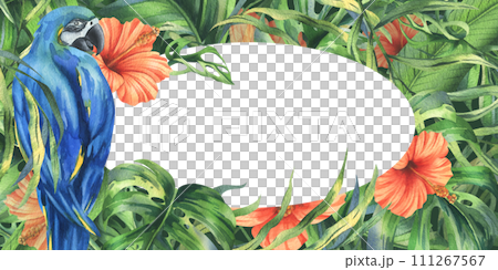 Tropical palm leaves, monstera and flowers of hibiscus, bright juicy with blue-yellow macaw parrot. Hand drawn watercolor botanical illustration. template, frame isolated from the background. Tropical palm leaves, monstera and flowers of hibiscus, bright juicy with blue-yellow macaw parrot. Hand drawn watercolor botanical illustration. template, frame isolated from the background. 111267567