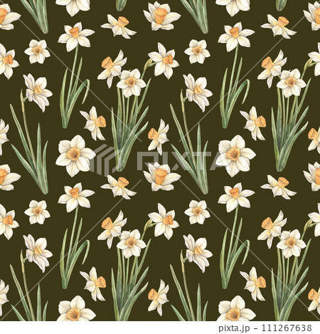 Watercolor pattern on a dark background with yellow beautiful daffodils. Easter holiday illustration hand drawn. Sketch on isolated background for greeting cards, invitations, happy holidays, posters. 111267638
