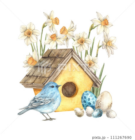 Watercolor Easter illustration with blue bird, yellow house, Easter eggs and daffodils. Illustration hand drawn on isolated background for greeting cards, invitations, happy holidays, posters. 111267690