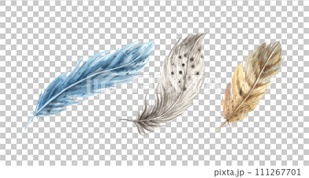 Set of watercolor realistic feathers. Detailed bird feathers in a realistic style. Illustration hand drawn on isolated background for greeting cards, invitations, happy holidays, posters. Set of watercolor realistic feathers. Detailed bird feathers in a realistic style. Illustration hand drawn on isolated background for greeting cards, invitations, happy holidays, posters. 111267701