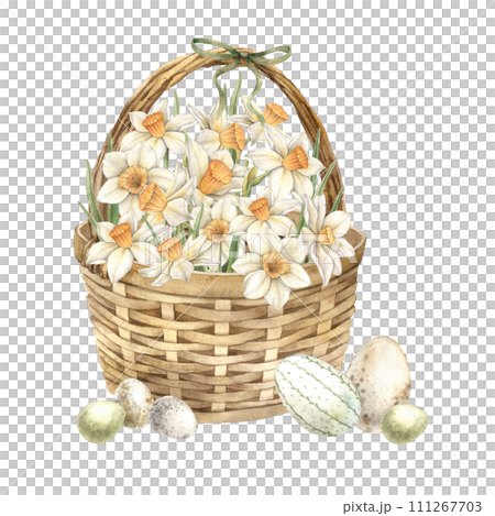 Watercolor Easter illustration with wicker basket, white daffodils and Easter eggs. Illustration hand drawn on isolated background for greeting cards, invitations, happy holidays, posters, decor. 111267703