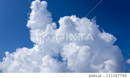 青空にあらわれた積乱雲 111267780