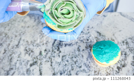 Using buttercream frosting, vanilla and chocolate cupcakes are intricately decorated to resemble various types of cactuses, creating a delightful and visually engaging dessert that showcases Using buttercream frosting, vanilla and chocolate cupcakes are intricately decorated to resemble various types of cactuses, creating a delightful and visually engaging dessert that showcases 111268043