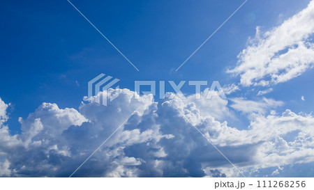 青空にあらわれた積乱雲 青空にあらわれた積乱雲 111268256