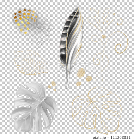 Watercolour Pheasant Feather, plume. Soft and downy feather of bird. monstera golden leaf For creating wedding design, cards, invitations, scrapbooking Watercolour Pheasant Feather, plume. Soft and downy feather of bird. monstera golden leaf For creating wedding design, cards, invitations, scrapbooking 111268831