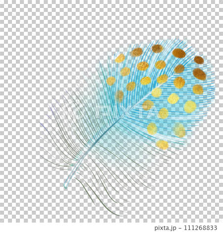 Blue feather illustrations. Soft and downy feather of bird. Hand drawn element for packaging, label, logo, icon design. Symbol of lightness. Isolated on white Blue feather illustrations. Soft and downy feather of bird. Hand drawn element for packaging, label, logo, icon design. Symbol of lightness. Isolated on white 111268833