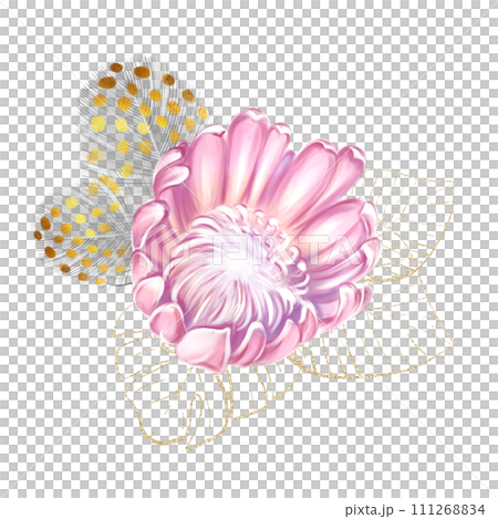 Watercolor bouquet of pink protea and golden tropical monstera leaves. Luxe composition. To create invitations, decor, wedding design. Watercolor bouquet of pink protea and golden tropical monstera leaves. Luxe composition. To create invitations, decor, wedding design. 111268834