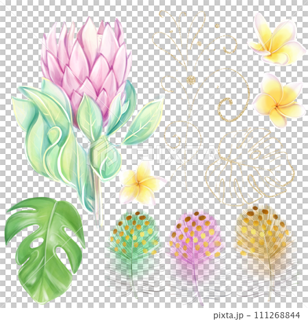 Watercolor set of pink protea, tropical monstera leaves, frangipania flowers and colorful feathers. Ideal for creating bouquets and compositions, wedding design and decor Watercolor set of pink protea, tropical monstera leaves, frangipania flowers and colorful feathers. Ideal for creating bouquets and compositions, wedding design and decor 111268844