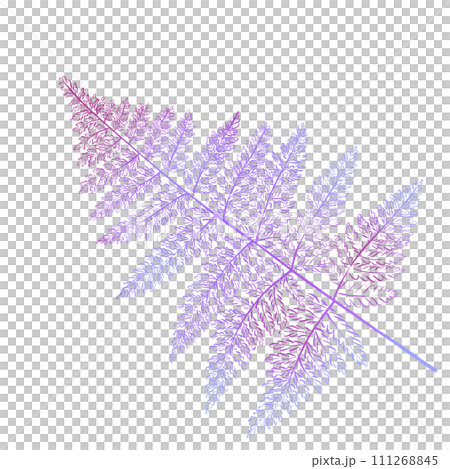Watercolor purple fern twig. Forest botany. Ideal for design, decorating 111268845