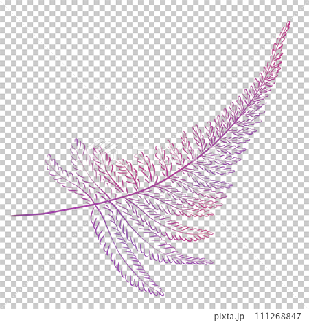 Watercolor purple fern twig. Forest botany, plants, medicinal herbs Watercolor purple fern twig. Forest botany, plants, medicinal herbs 111268847
