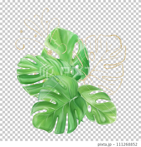 Watercolor bouquet of tropical monstera leaves with golden leaves and a pattern to create a design 111268852