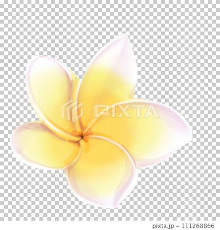 Watercolor tropical illustrations of frangipani flower. Yellow plumeria. Isolated on a white background 111268866