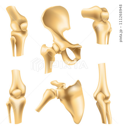 Human joints vector icons for orthopedics and surgery medical design. Vector isolated icons of leg knee or arm and hand joints with cartilage synovial fluid for orthopedics treatment medicine Human joints vector icons for orthopedics and surgery medical design. Vector isolated icons of leg knee or arm and hand joints with cartilage synovial fluid for orthopedics treatment medicine 111268948