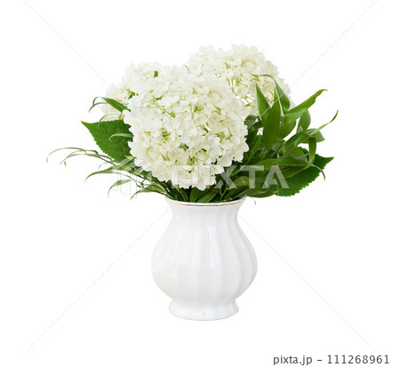 Bouquet with hydrangea flowers and italian ruscus in a white vase isolated on white 111268961