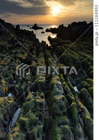 根本海岸屏風岩の夕景 根本海岸屏風岩の夕景 111268993