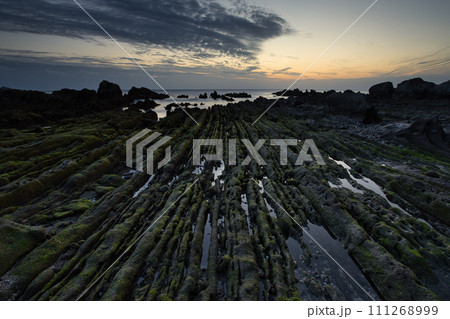 根本海岸屏風岩の夕景 111268999