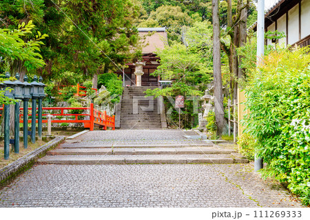 【奈良県】生駒市 長弓寺 (2023/06/22撮影) 111269333