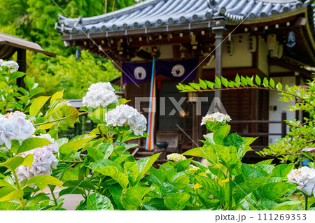 【奈良県】生駒市 長弓寺 (2023/06/22撮影) 【奈良県】生駒市 長弓寺 (2023/06/22撮影) 111269353