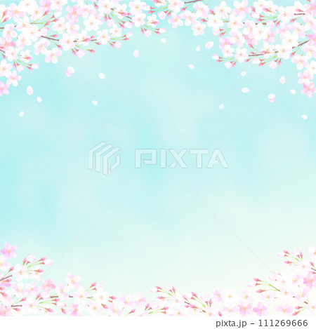 桜の花と青空の背景イラスト 桜の花と青空の背景イラスト 111269666